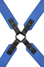 Blue leather sergeant harness