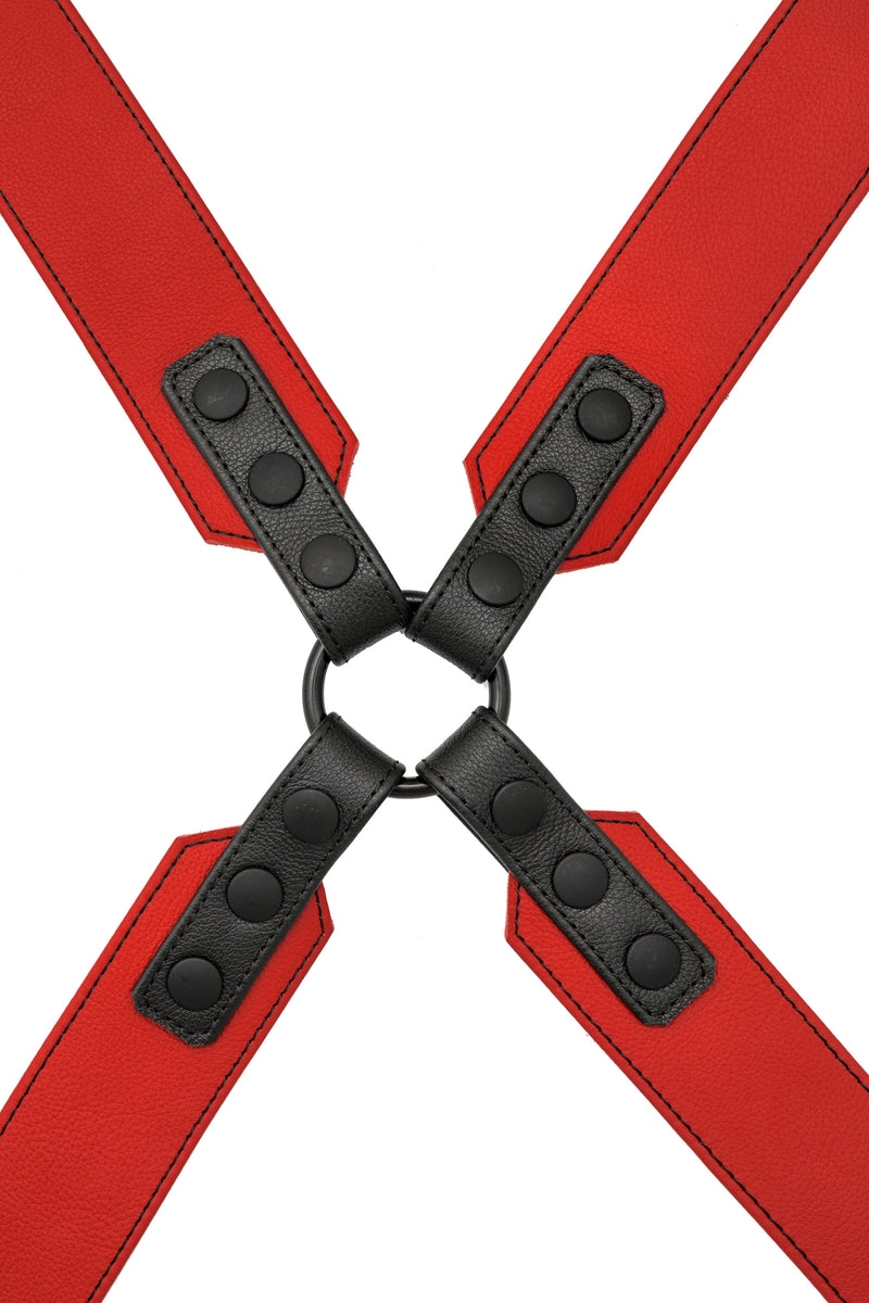 Red leather sergeant harness