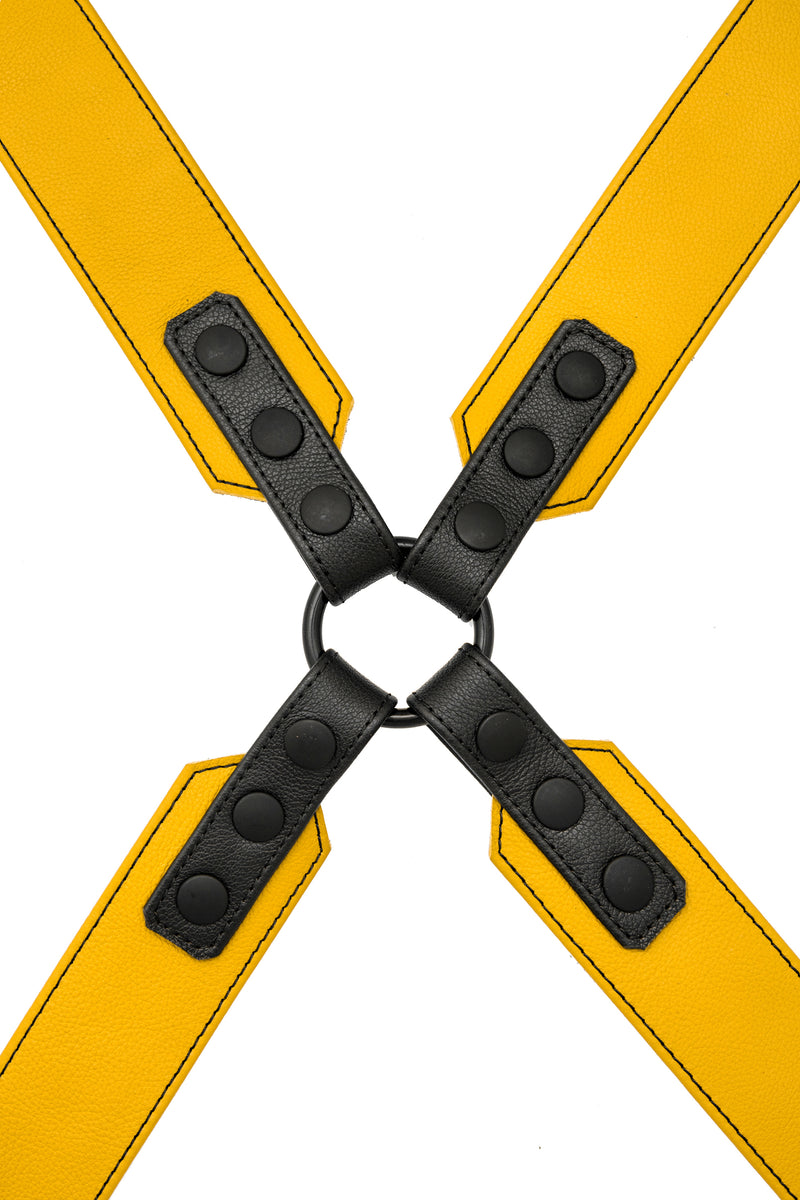 Yellow leather sergeant harness