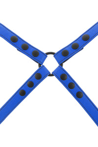 Blue leather shoulder harness
