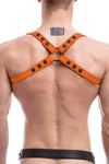 SHOULDER HARNESS - Colour