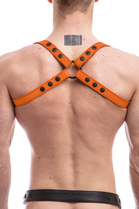 SHOULDER HARNESS - Colour