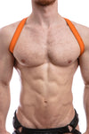 SHOULDER HARNESS - Colour
