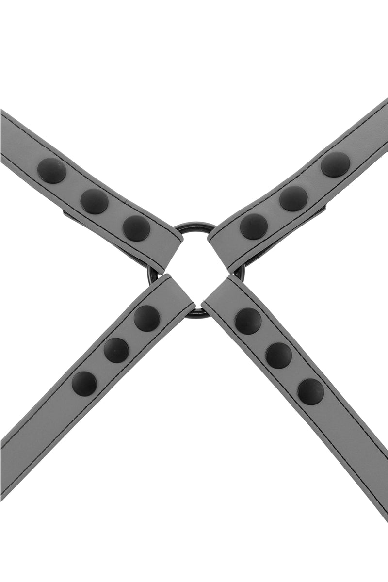 Grey leather shoulder harness