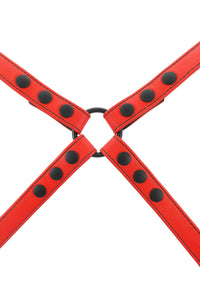 Red leather shoulder harness