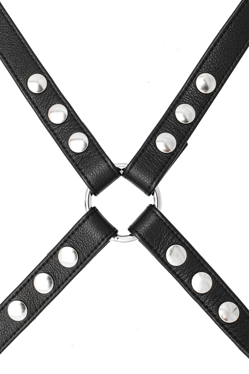 Black leather shoulder harness with stainless steel hardware