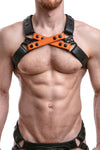 UNIVERSAL X HARNESS - Colour