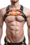 UNIVERSAL X HARNESS - Colour
