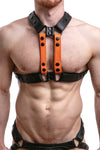 UNIVERSAL X HARNESS - Colour