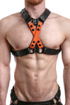 UNIVERSAL X HARNESS - Colour