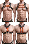 UNIVERSAL X HARNESS - Colour