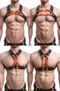 UNIVERSAL X HARNESS - Colour