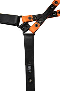 UNIVERSAL X HARNESS - Colour