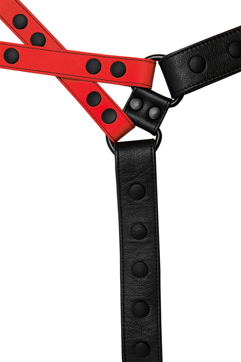 Red leather universal x harness