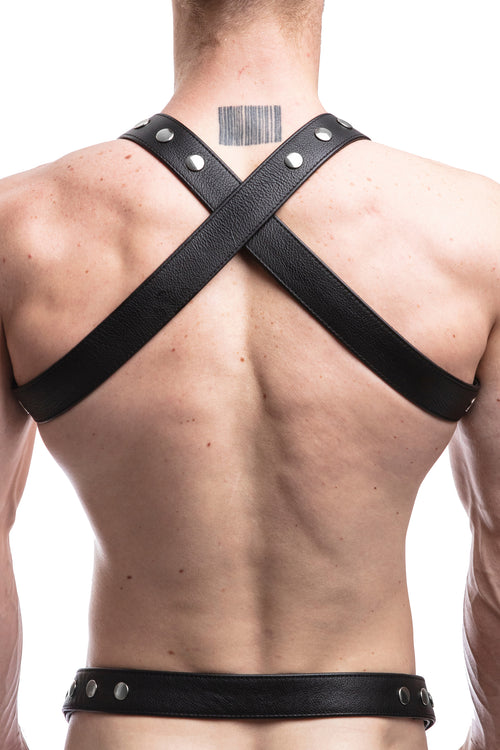 Model wearing black leather universal x harness with stainless steel hardware