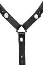 Black leather head harness with stainless steel hardware, back straps