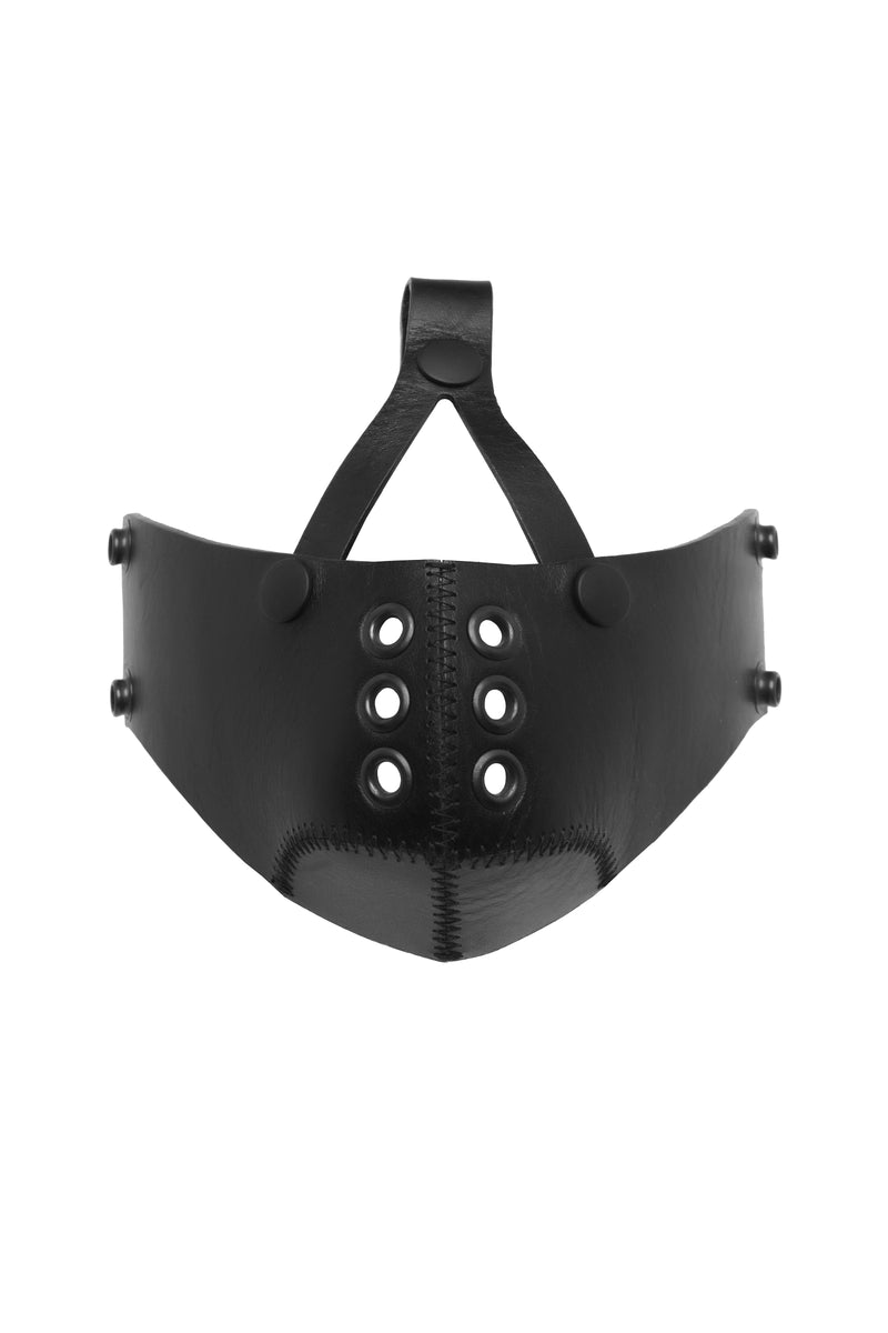 Leather head harness muzzle, black hardware