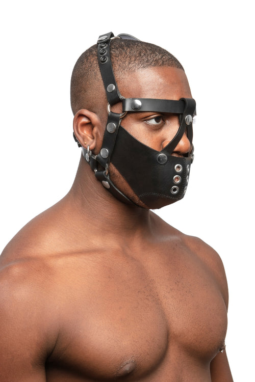 Model wearing black leather head harness and muzzle with stainless steel hardware, three quarter