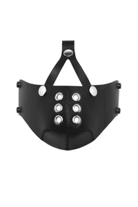 Black leather head harness muzzle, stainless steel hardware