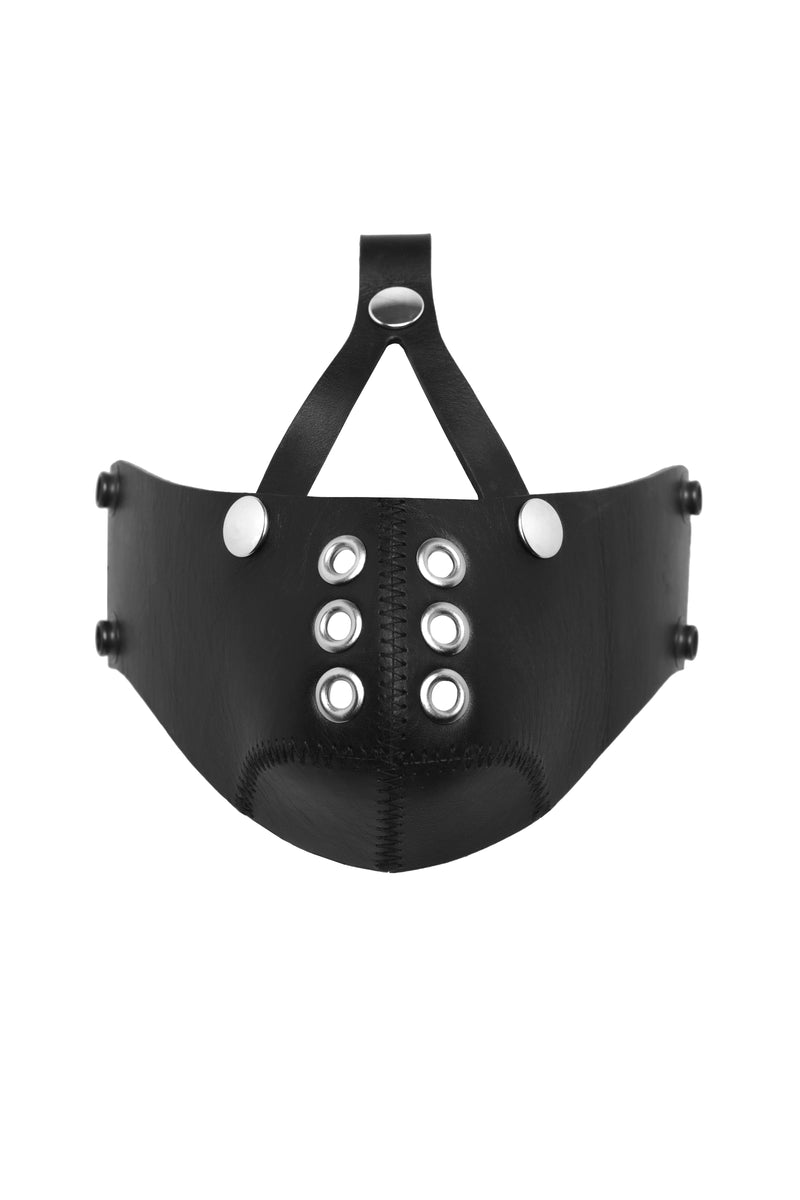 Black leather head harness muzzle, stainless steel hardware