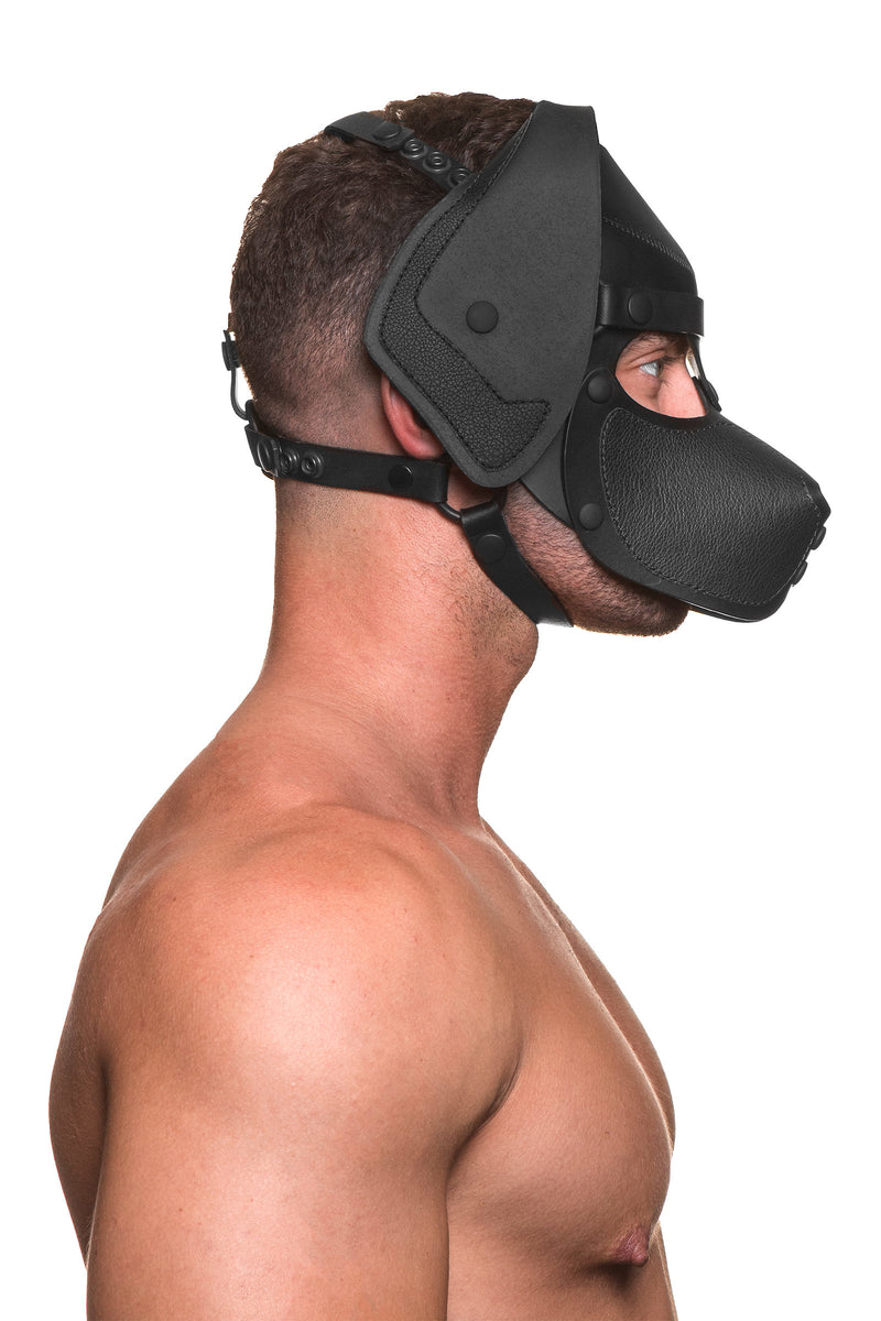 Model wearing a black leather pup mask and head harness side view