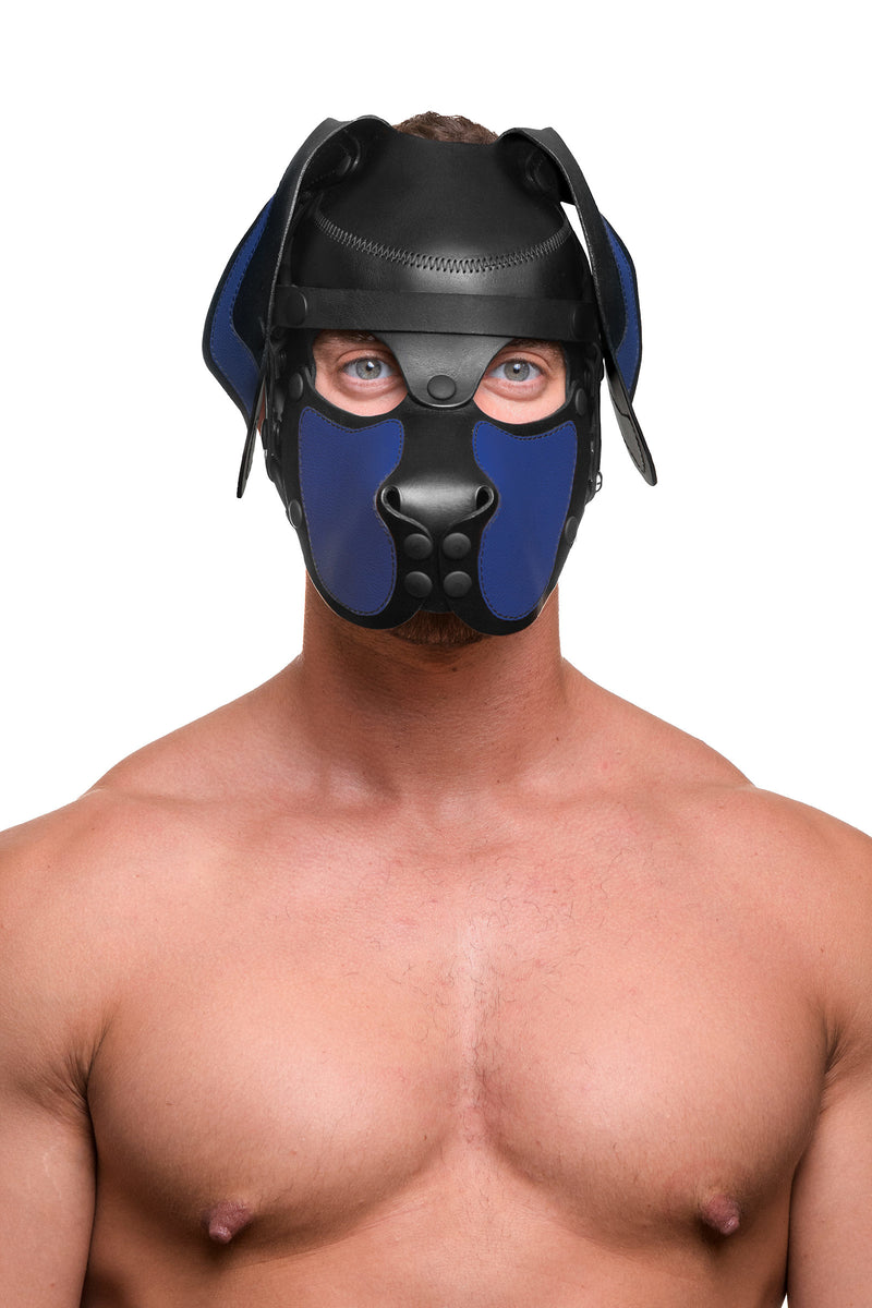Model wearing a black and blue leather pup mask and head harness front view