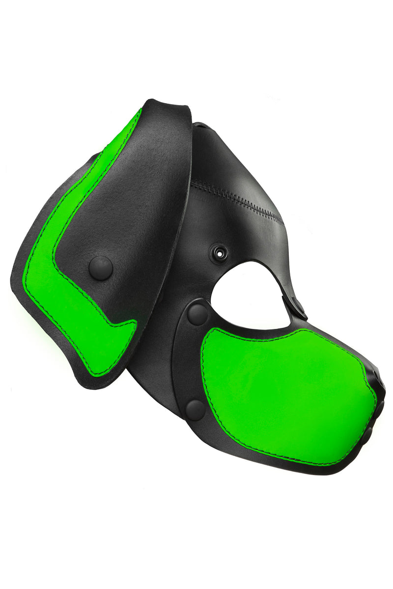 Product photo of a black and fluro green leather pup mask with floppy ears side view