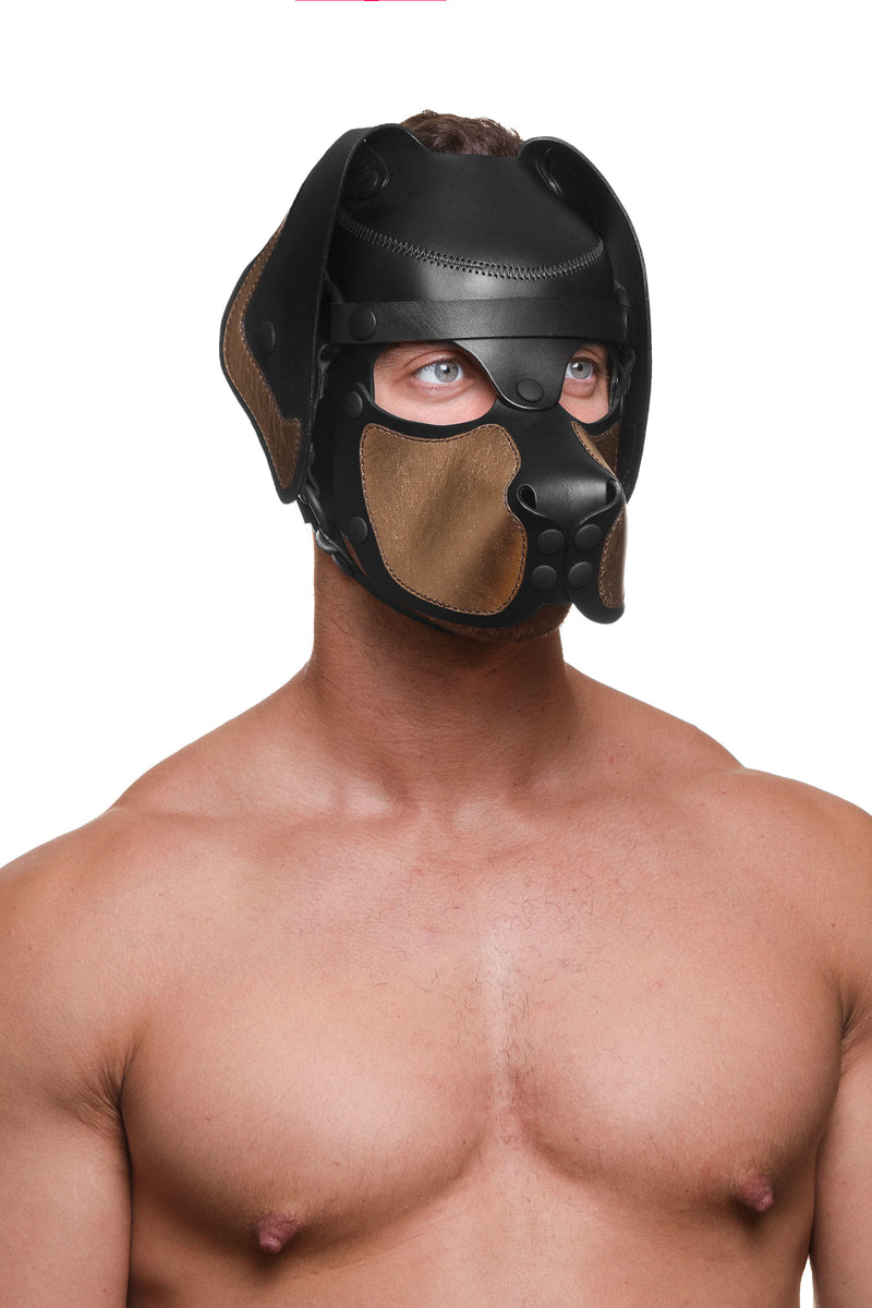 Model wearing a black and metallic gold leather pup mask and head harness three quarter view