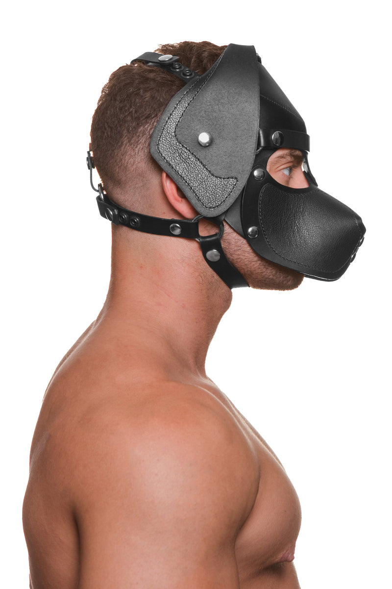 Model wearing a black leather pup mask and head harness with stainless steel hardware side view