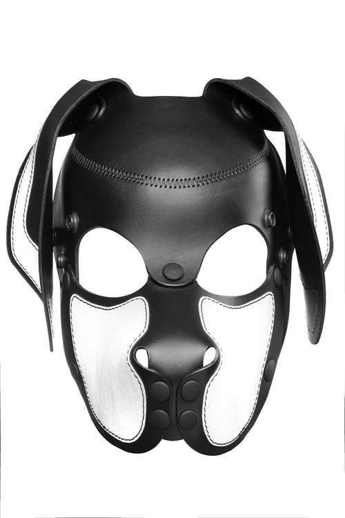 Product photo of a black and white leather pup mask with floppy ears front view