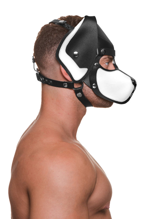 Model wearing a black and white leather pup mask and head harness with stainless steel hardware side view