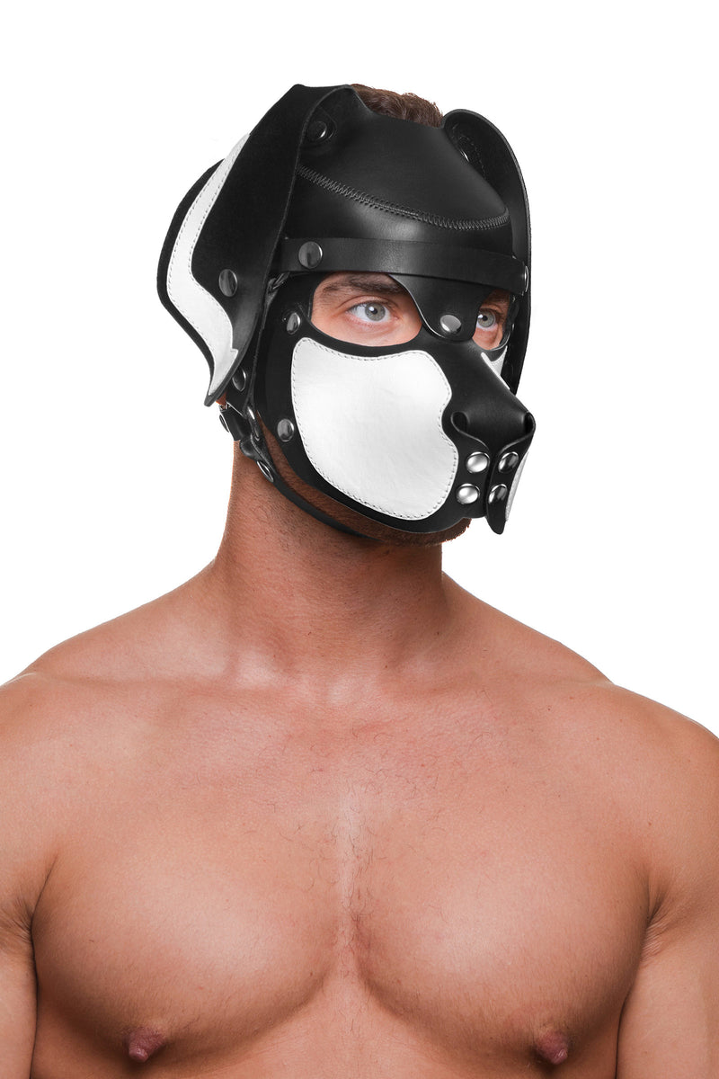 Model wearing a black and white leather pup mask and head harness with stainless steel hardware three quarter view