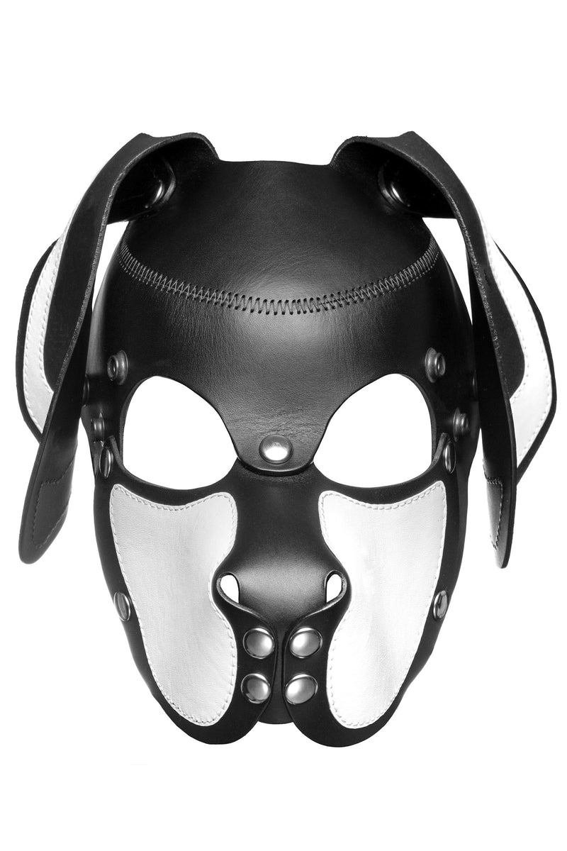 Product photo of a black and white leather pup mask with floppy ears and stainless steel hardware front view