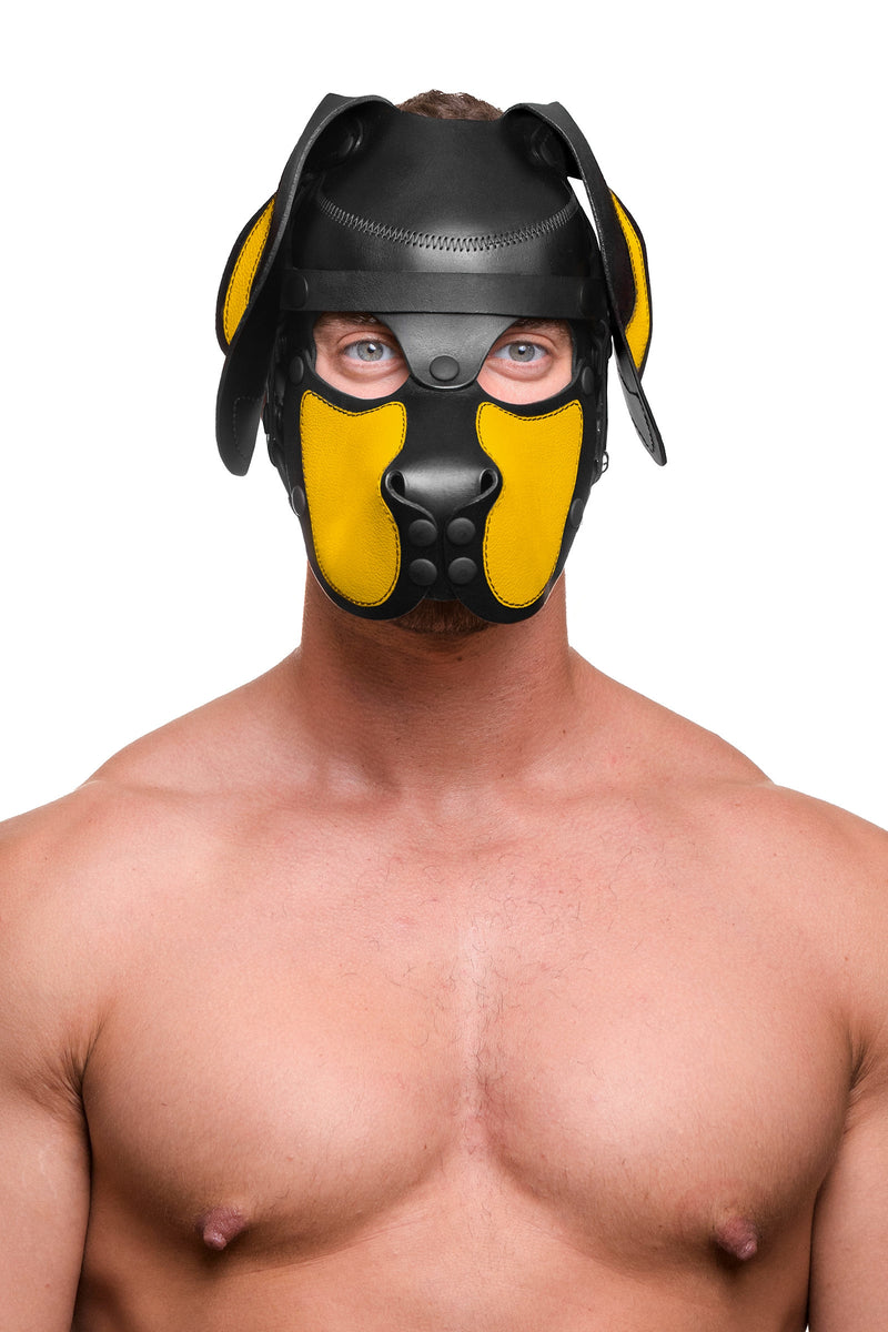 Model wearing a black and yellow leather pup mask and head harness front view