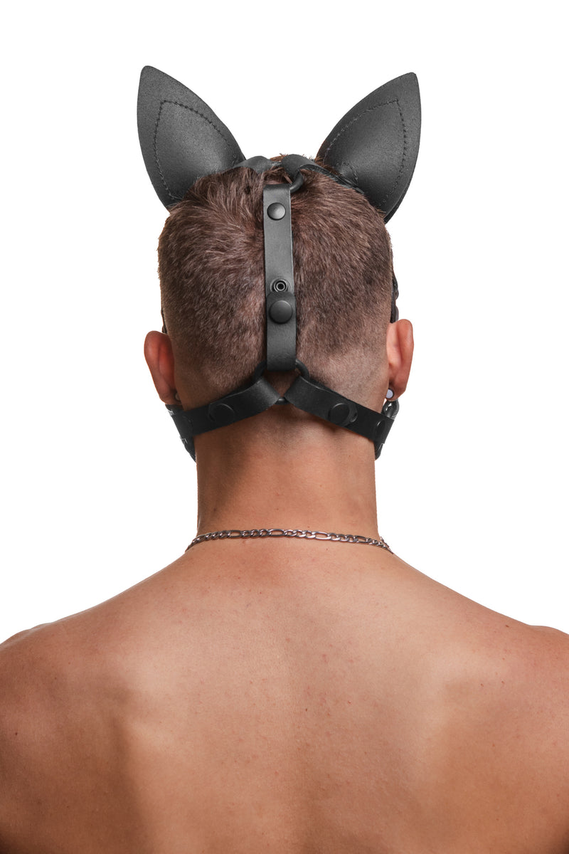 Model wearing a leather pup mask and head harness back view