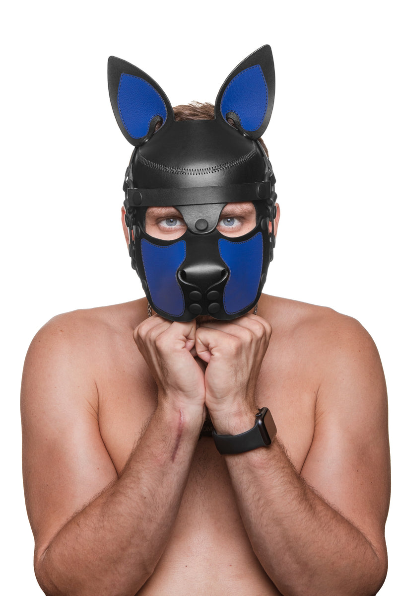 Model wearing a black and blue leather pup mask and head harness front view