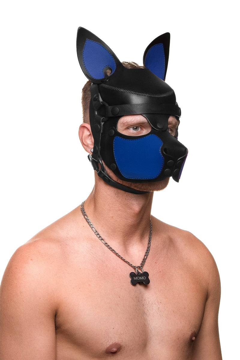 Model wearing a black and blue leather pup mask and head harness three quarter view