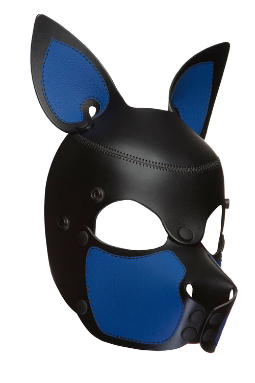 Product photo of a black and blue leather pup mask with pointy ears three quarter view