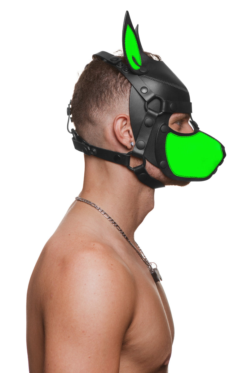 Model wearing a black and fluro green leather pup mask and head harness side view