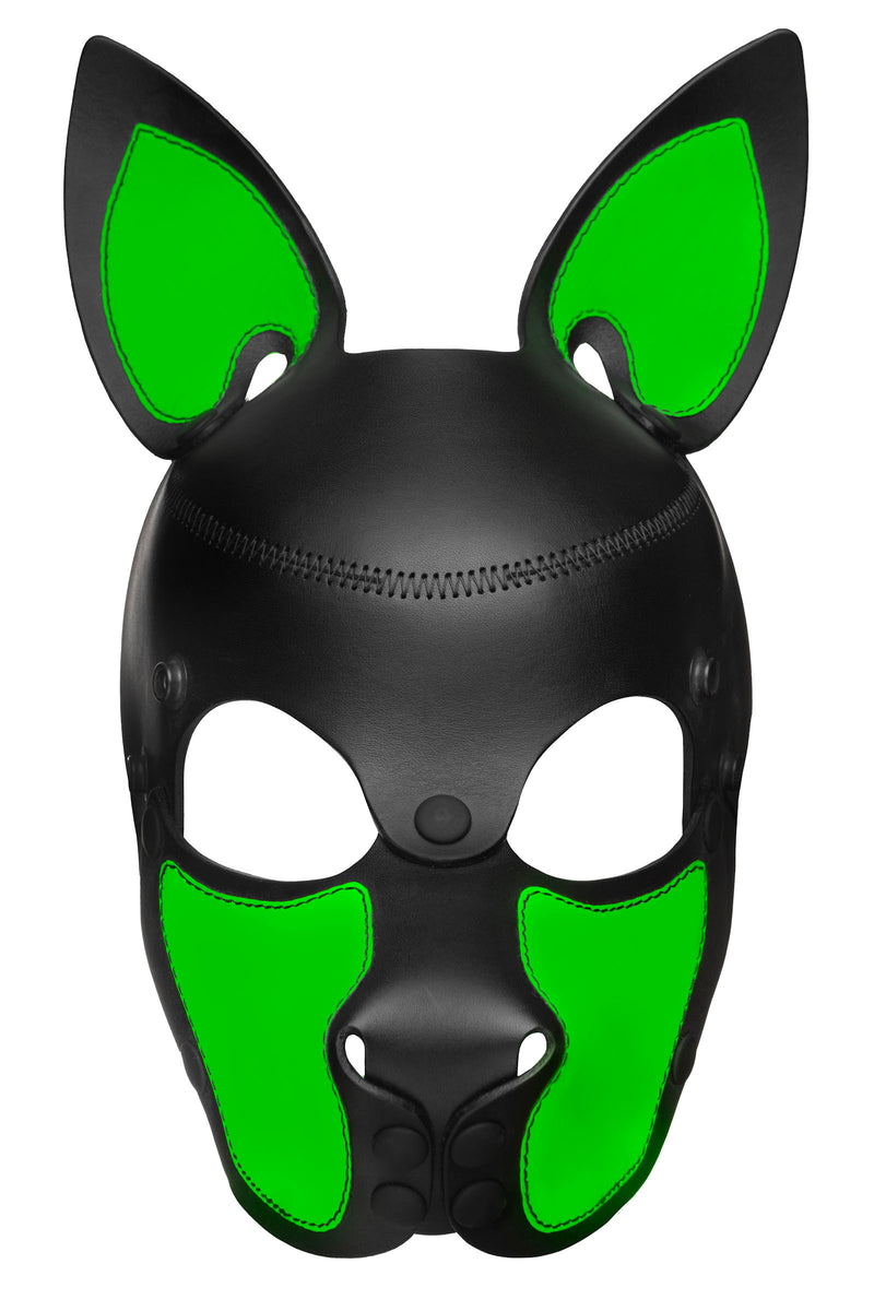 Product photo of a black and fluro green leather pup mask with pointy ears front view
