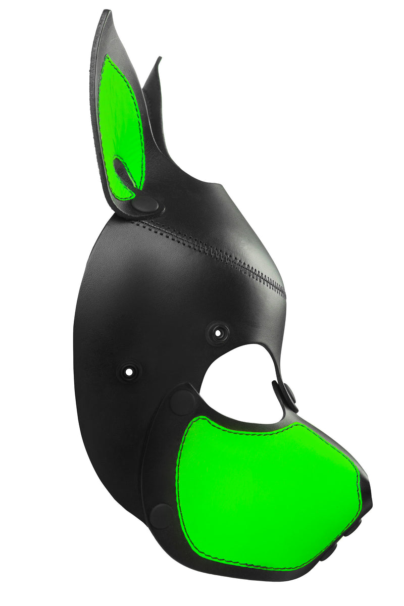 Product photo of a black and fluro green leather pup mask with pointy ears side view