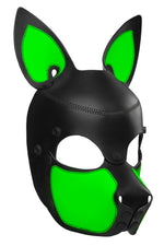 Product photo of a black and fluro green leather pup mask with pointy ears three quarter view