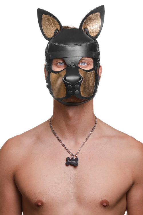 Model wearing a black and metallic gold leather pup mask and head harness front view
