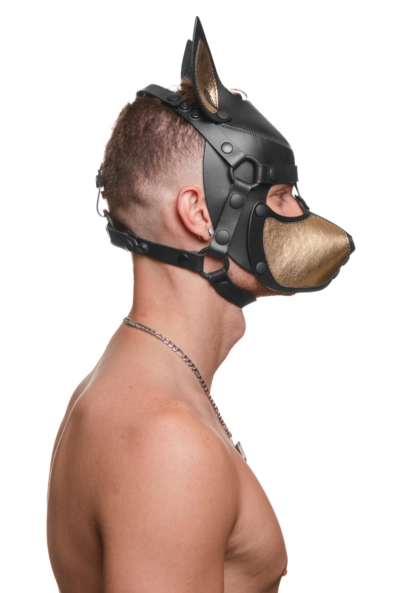 Model wearing a black and metallic gold leather pup mask and head harness side view