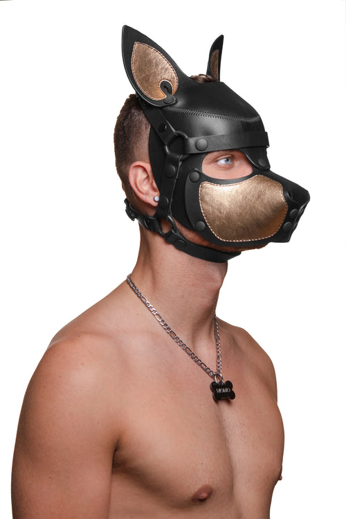 Model wearing a black and metallic gold leather pup mask and head harness three quarter view