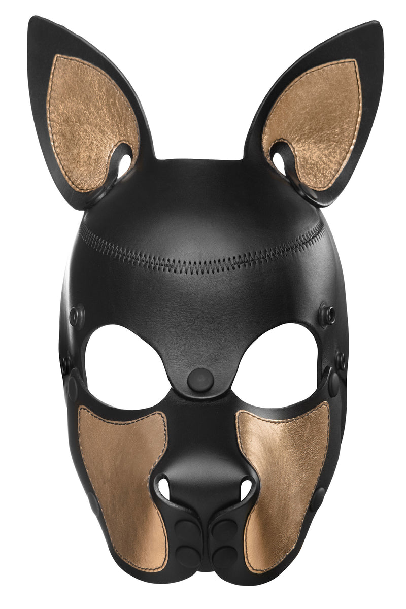 Product photo of a black and metallic gold leather pup mask with pointy ears front view