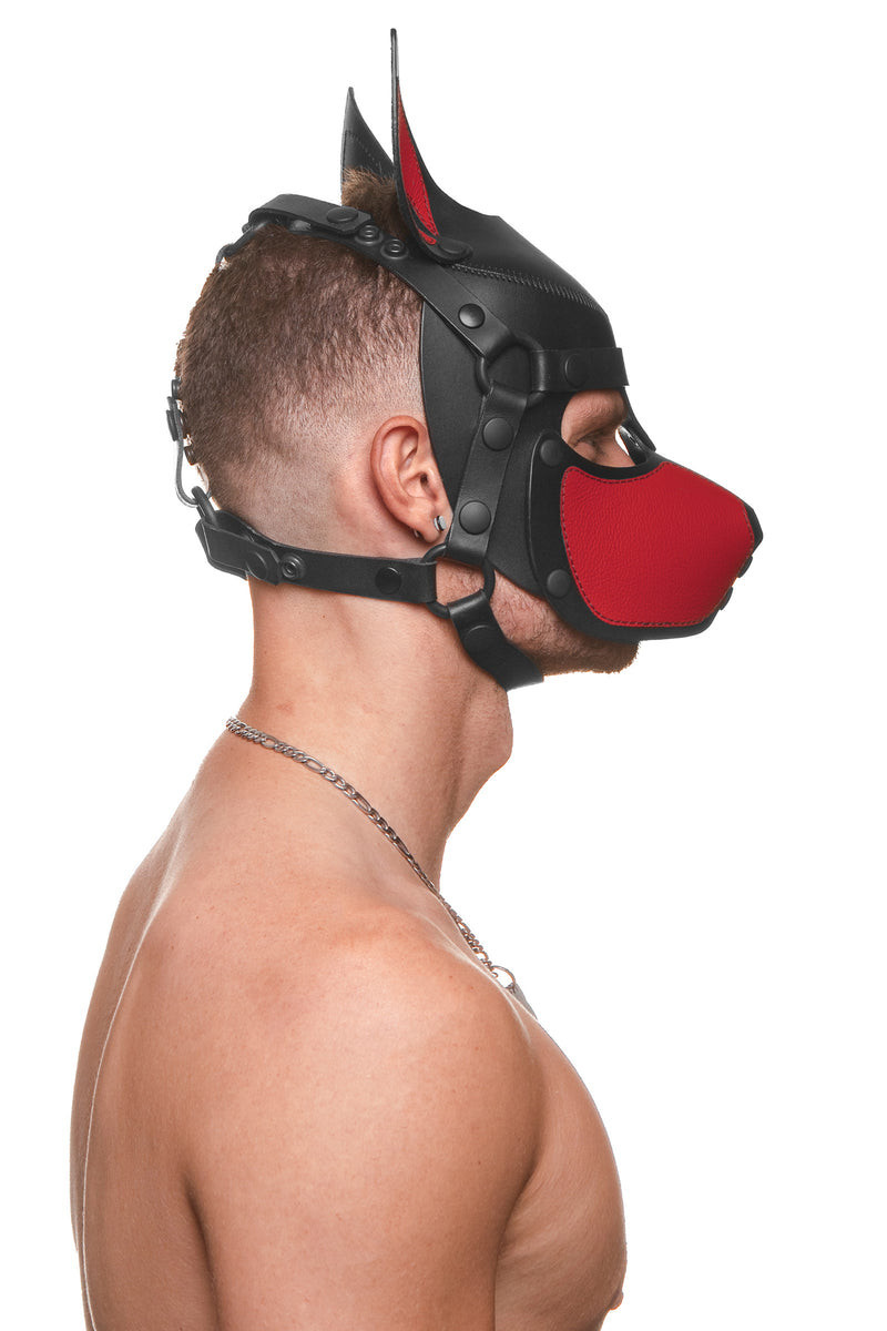 Model wearing a black and red leather pup mask and head harness side view