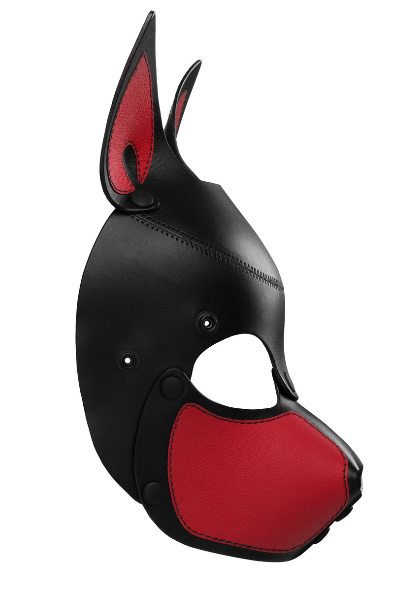 Product photo of a black and red leather pup mask with pointy ears side view