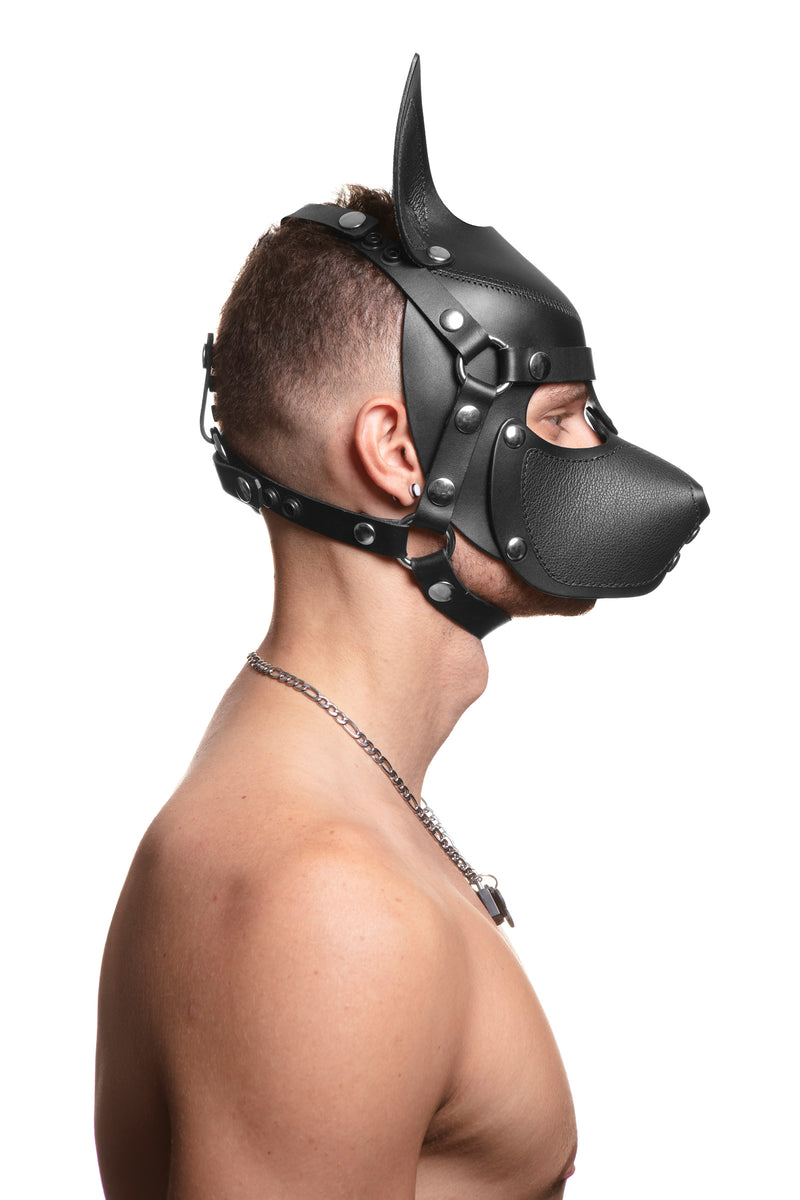 Model wearing a black leather pup mask and head harness with stainless steel hardware side view