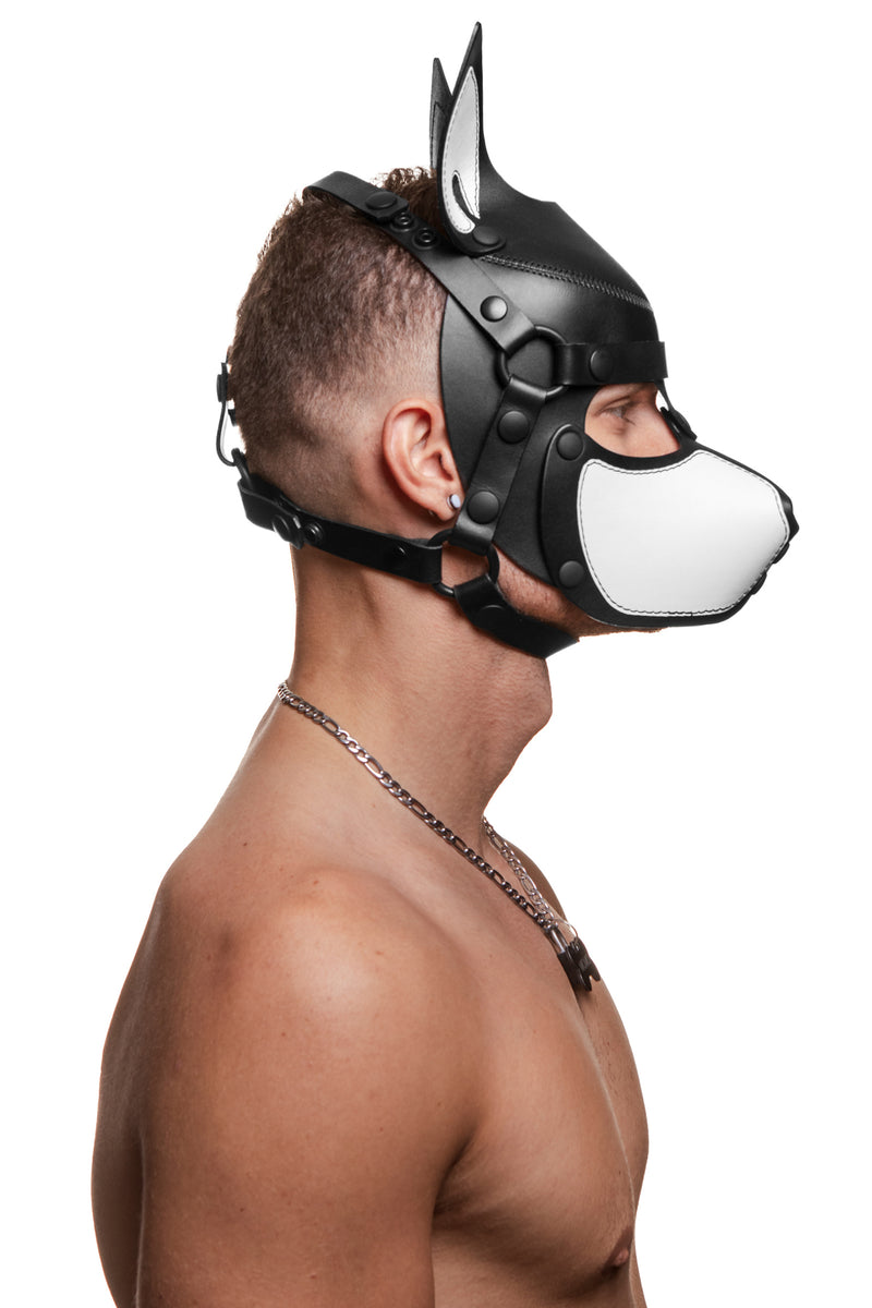 Model wearing a black and white leather pup mask and head harness side view